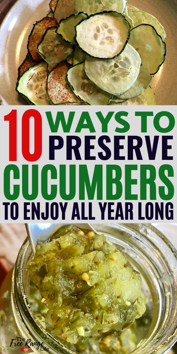 10 Delicious Ways To Preserve Cucumbers For Gardeners Preserving