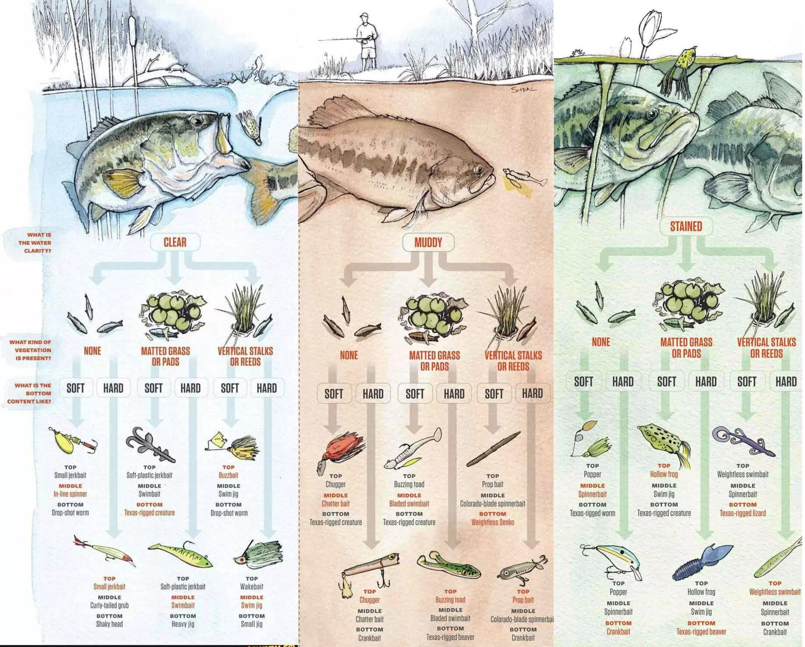 A Helpful Guide For What Lure To Use R Bassfishing